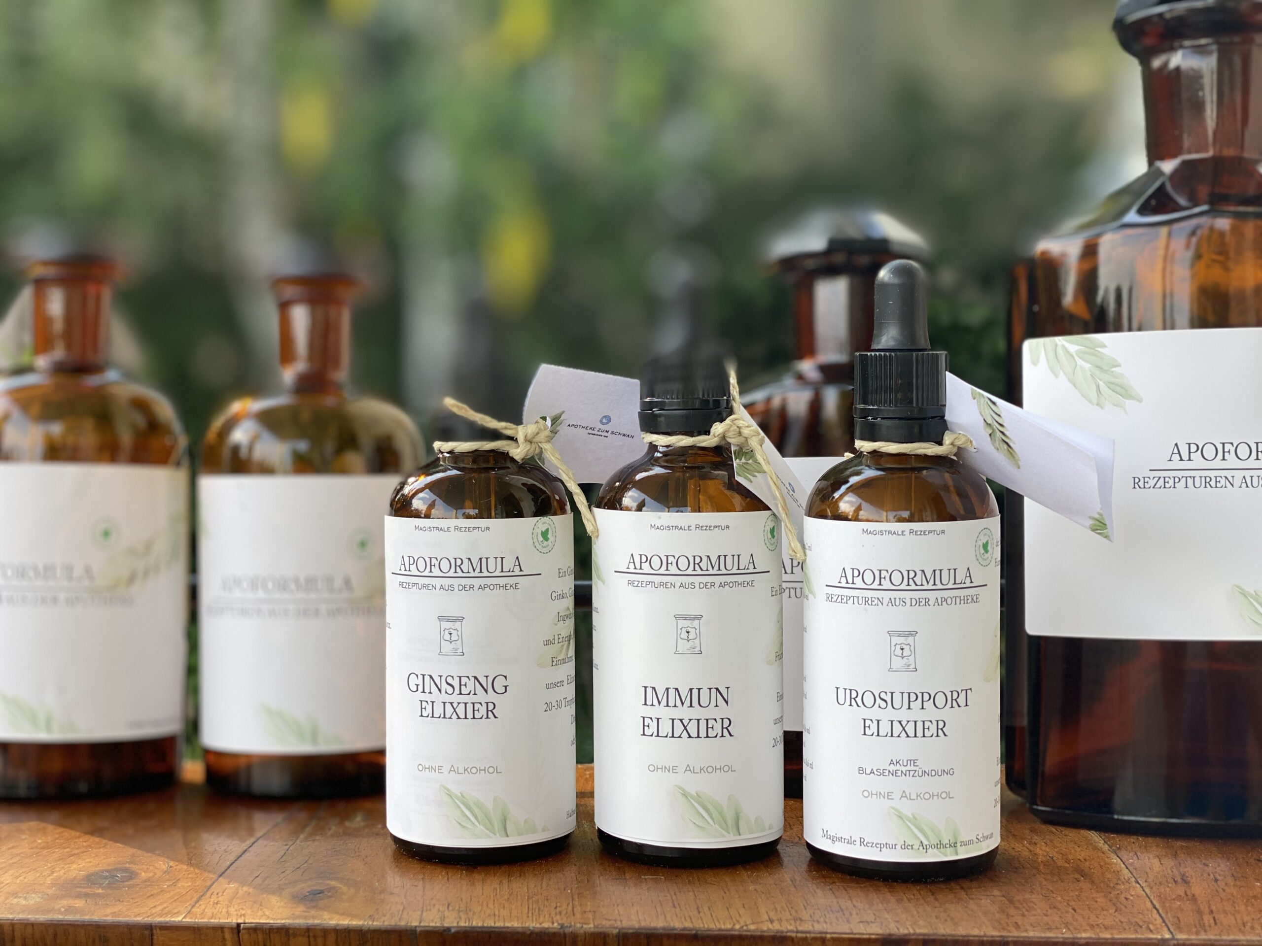 1E83E1C4-5F9C-451B-9F1A-F3A959F88FE7