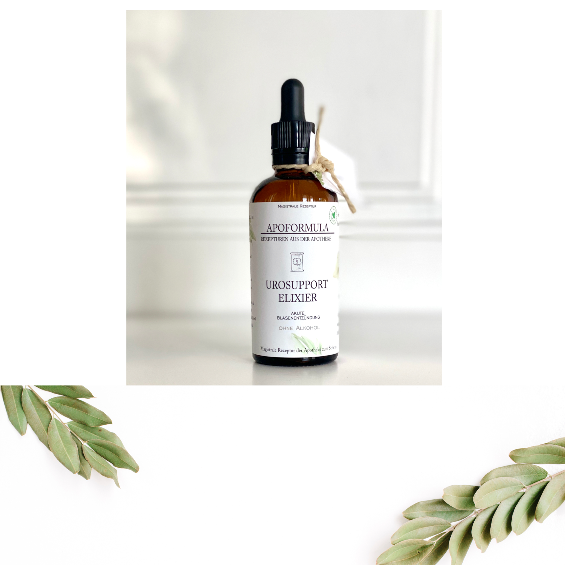 4EEC487B-BFBB-475F-955A-2C2F48BA2D51