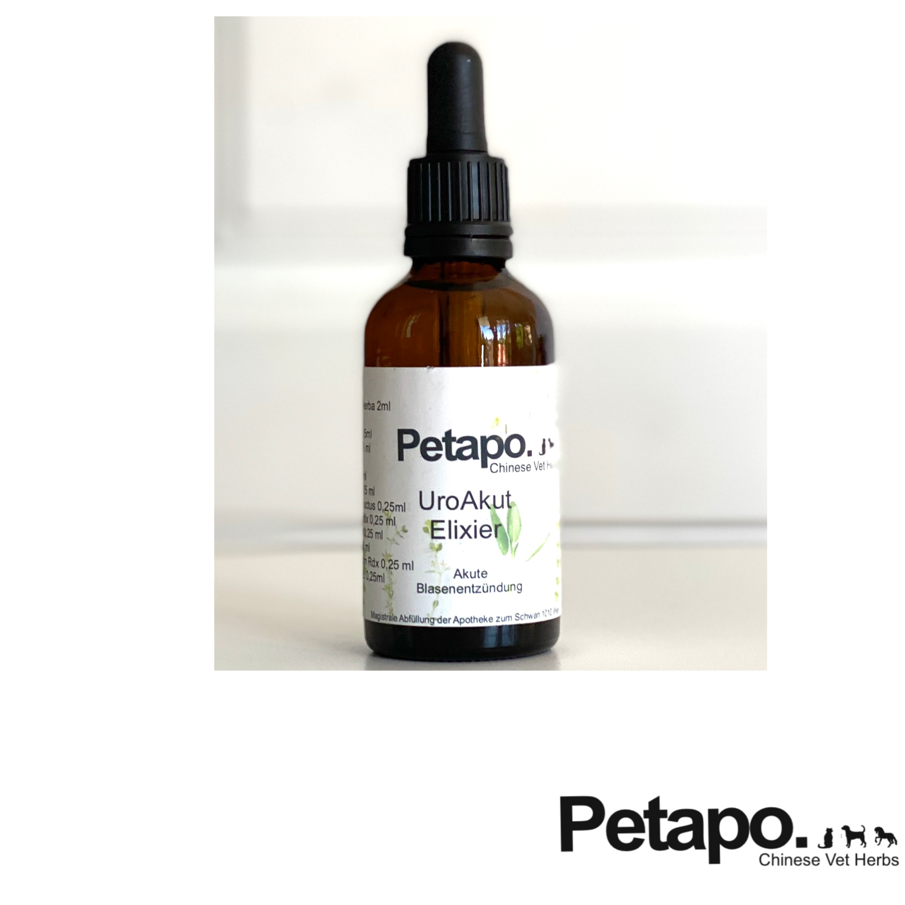 F7C7A20B-08A0-4DC1-919E-1DC36C3156E2